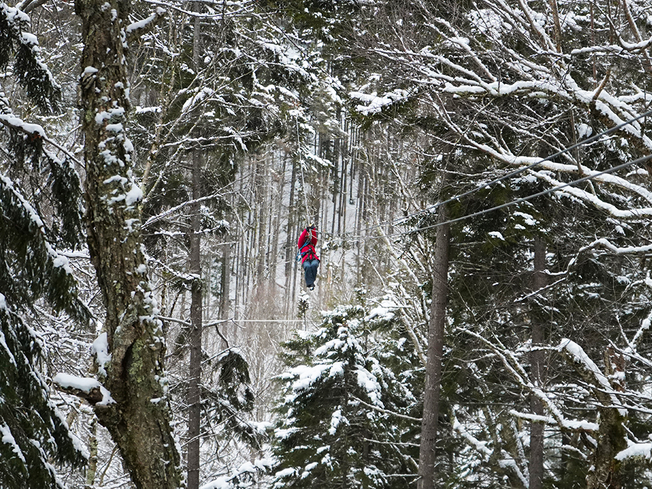 You sometimes fly among the trees during a Bretton Woods canopy tour!